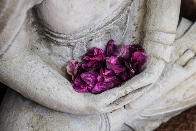 purple petals that can be seen as spiritual